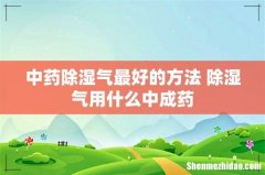 中药除湿气最好的方法 除湿气用什么中成药