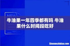 牛油果一年四季都有吗 牛油果什么时间段吃好
