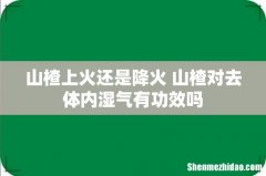山楂上火还是降火 山楂对去体内湿气有功效吗
