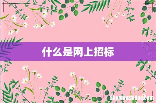 什么是网上招标