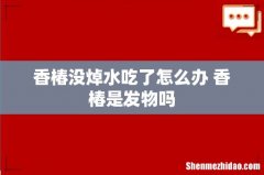 香椿没焯水吃了怎么办 香椿是发物吗