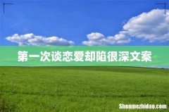 第一次谈恋爱却陷很深文案