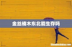 金丝楠木东北能生存吗