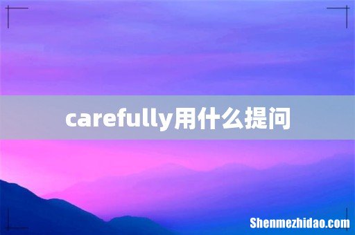 carefully用什么提问