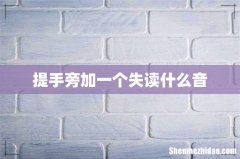 提手旁加一个失读什么音