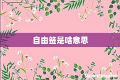 自由签是啥意思