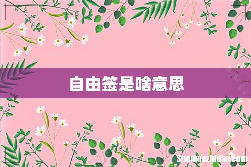 自由签是啥意思