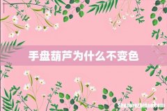 手盘葫芦为什么不变色