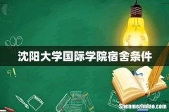 沈阳大学国际学院宿舍条件