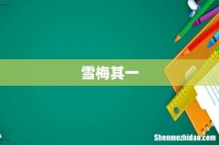 雪梅其一