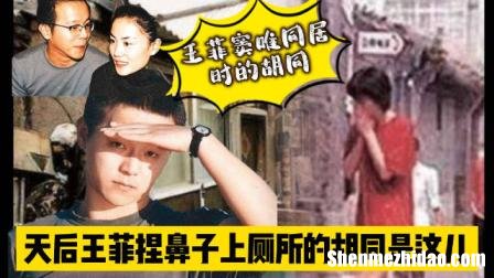 窦唯为什么和王菲结婚 窦唯为什么和王菲结婚了