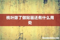 桃叶除了做贴画还有什么用处
