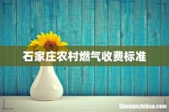 石家庄农村燃气收费标准