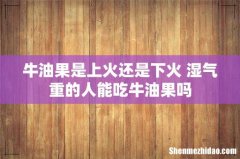 牛油果是上火还是下火 湿气重的人能吃牛油果吗