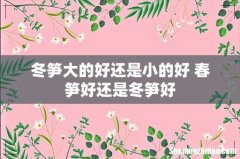 冬笋大的好还是小的好 春笋好还是冬笋好