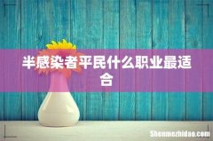 半感染者平民什么职业最适合