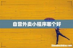 自营外卖小程序哪个好