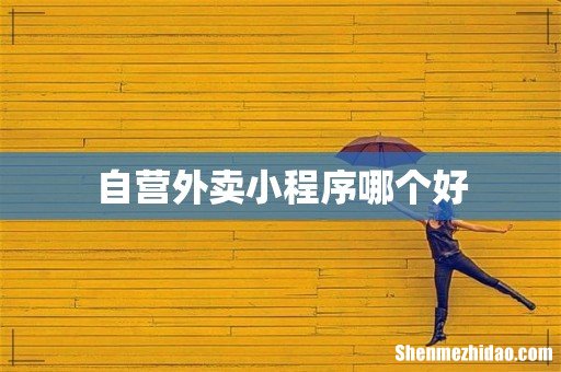 自营外卖小程序哪个好