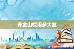 养金山棕用多大盆