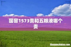 国窖1573贵和五粮液哪个贵