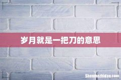 岁月就是一把刀的意思