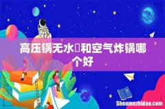 高压锅无水焗和空气炸锅哪个好