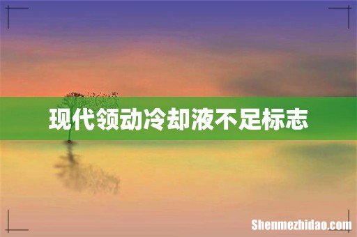 现代领动冷却液不足标志