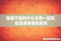 莲雾不能和什么东西一起吃 吃莲雾需要削皮吗