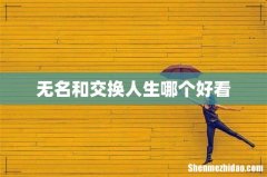 无名和交换人生哪个好看