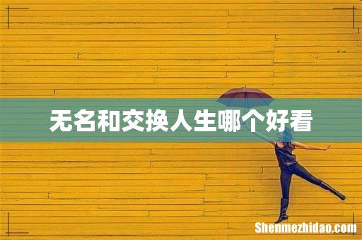无名和交换人生哪个好看