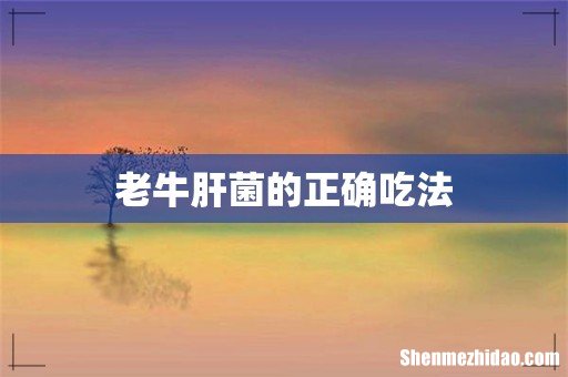 老牛肝菌的正确吃法