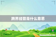 跨界经营是什么意思