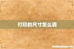 打印的尺寸怎么调
