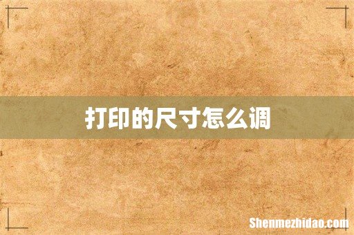 打印的尺寸怎么调