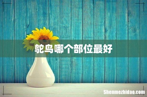 鸵鸟哪个部位最好