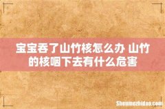 宝宝吞了山竹核怎么办 山竹的核咽下去有什么危害