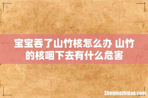 宝宝吞了山竹核怎么办 山竹的核咽下去有什么危害