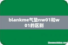 blankme气垫nw01和w01的区别