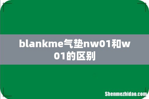 blankme气垫nw01和w01的区别