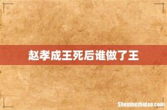 赵孝成王死后谁做了王