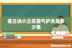 苍兰诀小兰花霸气护夫是多少集