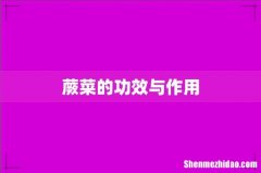蕨菜的功效与作用