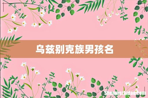 乌兹别克族男孩名