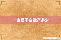 一亩茴子白能产多少