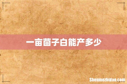 一亩茴子白能产多少