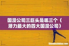 潜力最大的四大国漫公司 国漫公司三巨头是哪三个