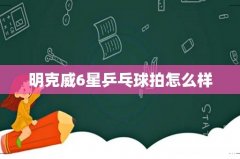 明克威6星乒乓球拍怎么样