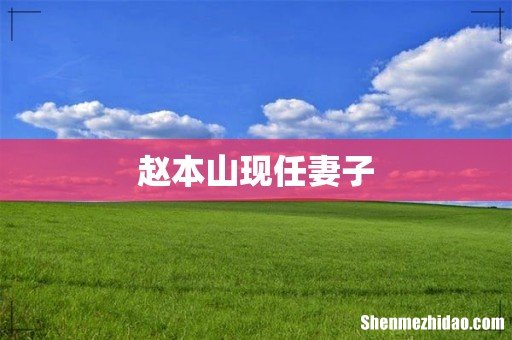 赵本山现任妻子