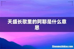 天盛长歌里的阿耶是什么意思