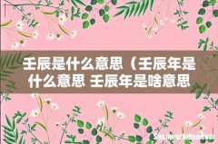 壬辰年是什么意思 壬辰年是啥意思的呢 壬辰是什么意思